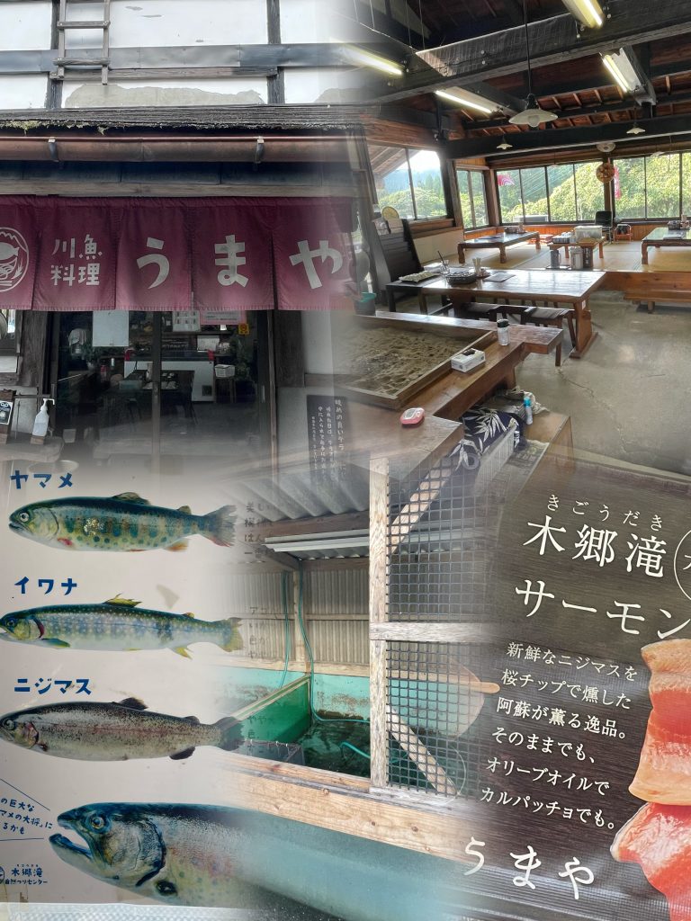 🏍️【ツーリング下見スポット紹介】🏍️